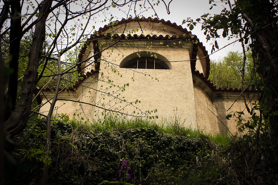 Associzione Ponte del mondo novo