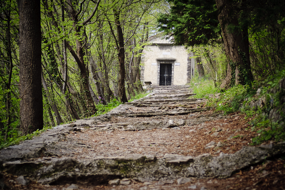 Associzione Ponte del mondo novo