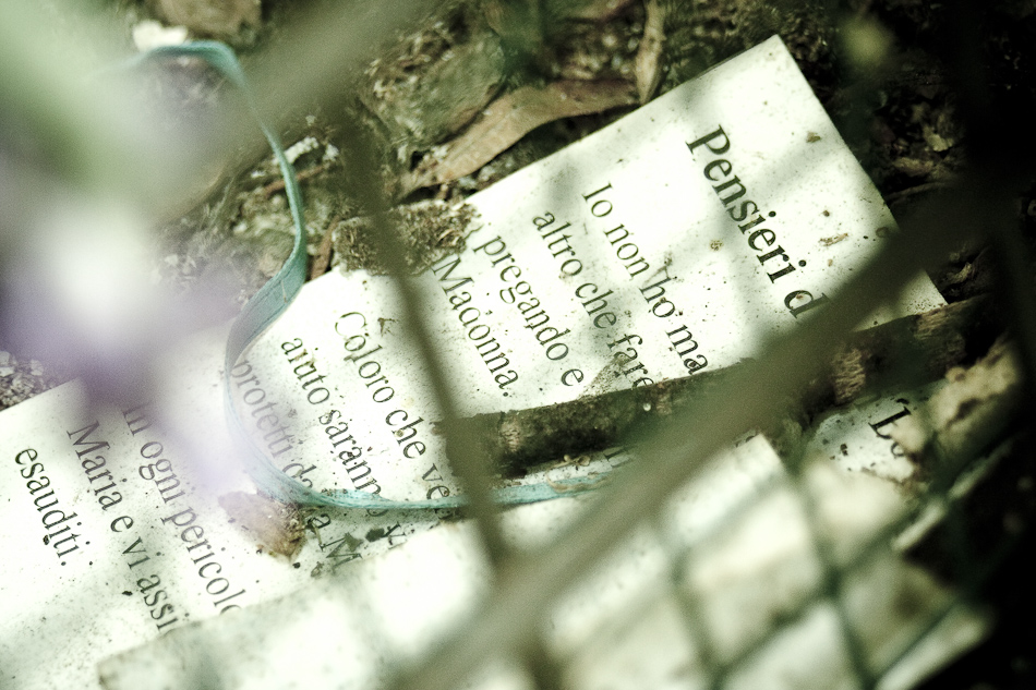 Associzione Ponte del mondo novo