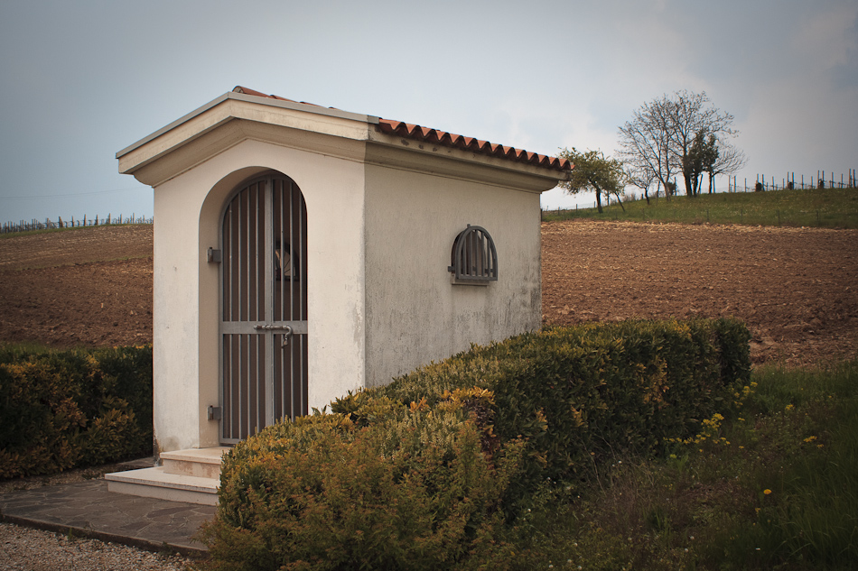 Associzione Ponte del mondo novo